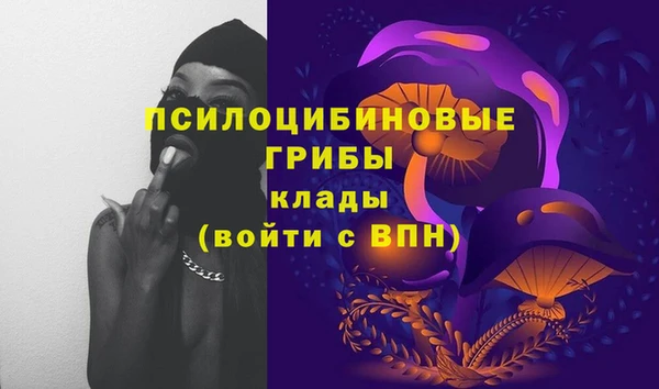 хмурый Алзамай