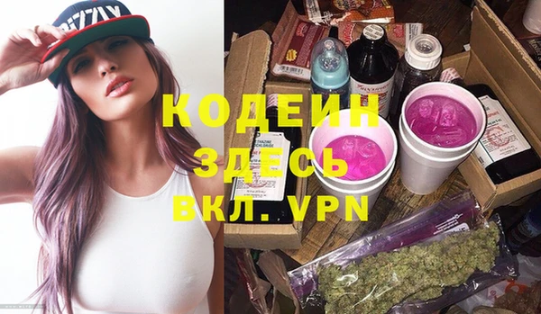 хмурый Алзамай