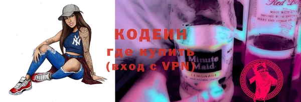 хмурый Алзамай