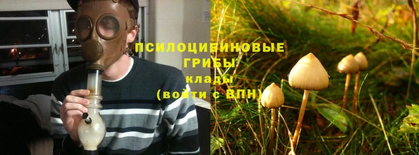 спиды Алексеевка