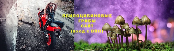 mix Алексин